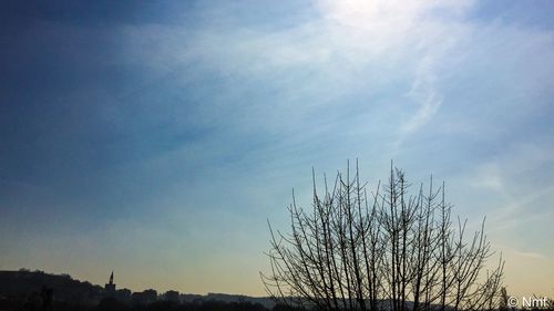 Low angle view of trees against cloudy sky