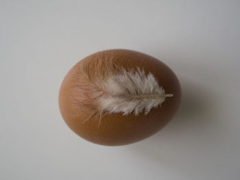 Close-up of apple against white background