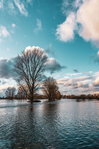 Flood on the rhine near cologne, germany.