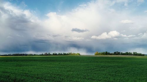 Scenic view of agricultural field against sky