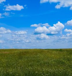 Scenic view of field against sky