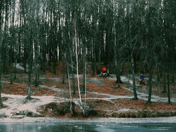Scenic view of trees in forest