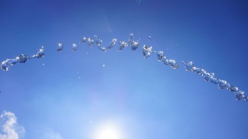 Low angle view of plants against blue sky on sunny day