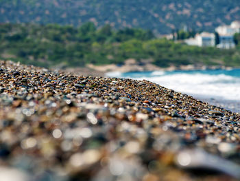 Close-up of pebbles on beach