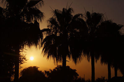 Low angle view of silhouette trees against sky during sunset