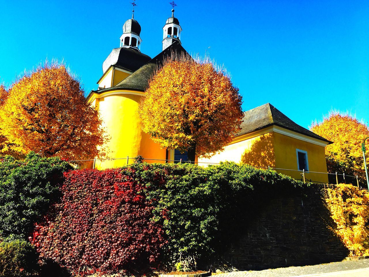 LOW ANGLE VIEW OF TREES AND BUILDING AGAINST SKY