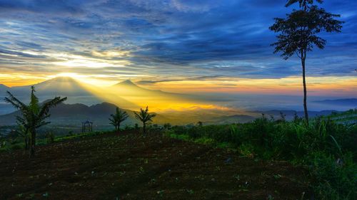 Scenic view of field against sky during sunset