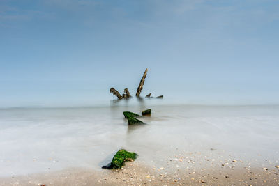Close-up of driftwood on beach against sky