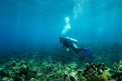 Scuba diver exploring underwater in sea
