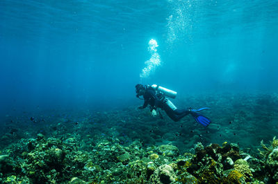 Person swimming in sea