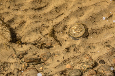 Footprints on sand