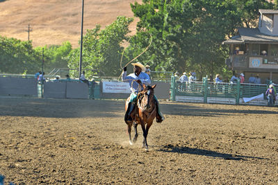 Man riding horse on field