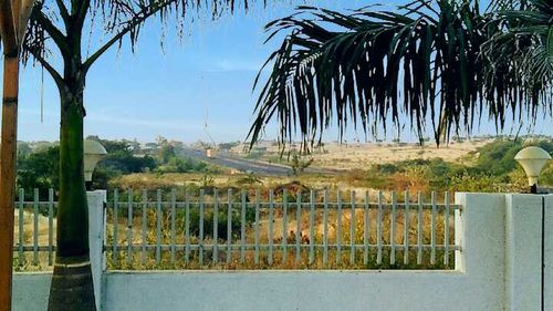 Palm trees by fence against sky