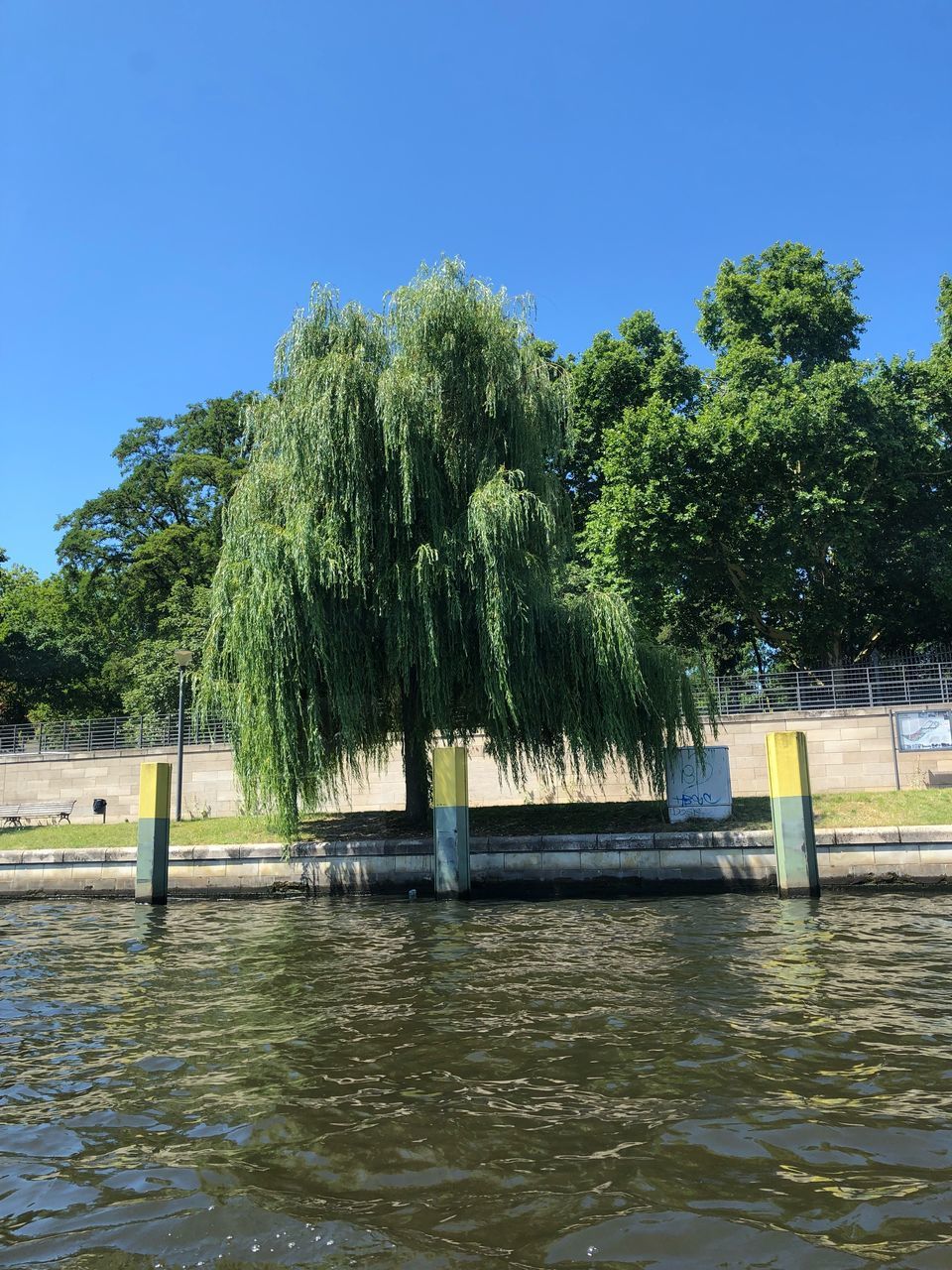 SCENIC VIEW OF LAKE AGAINST TREES AGAINST CLEAR BLUE SKY