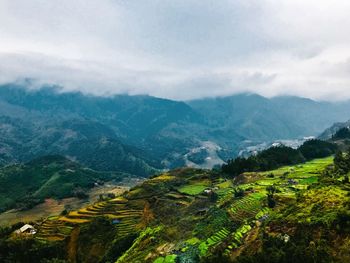 High angle view of rice field against sky