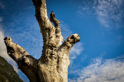 Low angle view of tree against blue sky