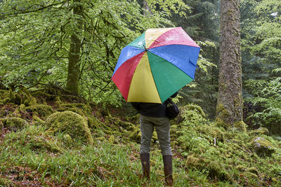 Rear view of man standing with umbrella in forest during rainy season
