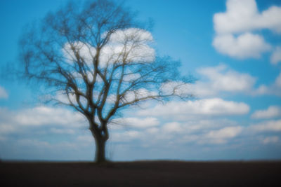 Bare tree on landscape against sky