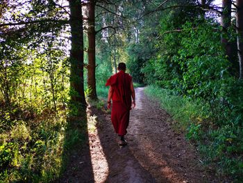 Rear view of man walking on footpath in forest