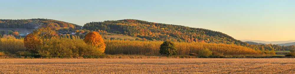 Scenic view of field against sky during autumn