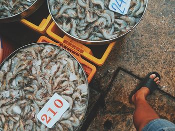 High angle view of fish for sale at market