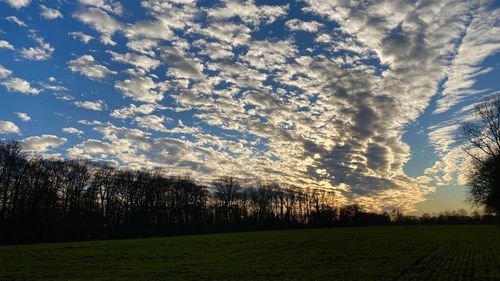 Scenic view of field against sky during sunset