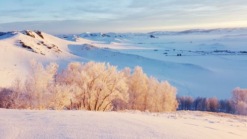 Scenic view of snow field against sky