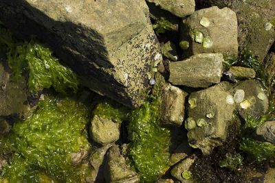 Full frame shot of rocks