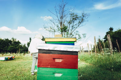 Bee on grassy field against sky