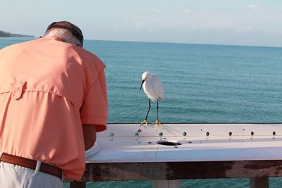 Rear view of man in front of bird on boat sailing in sea