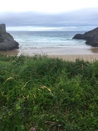 Scenic view of beach