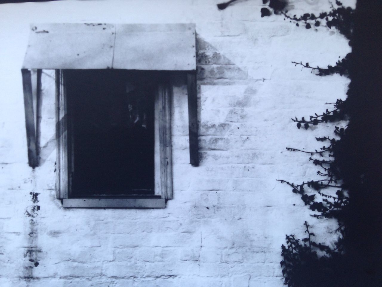 window, architecture, built structure, no people, old, building, wall, day, building exterior, outdoors, wall - building feature, house, abandoned, close-up, entrance, door, glass - material, weathered, damaged, winter, window frame