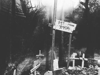 Road sign by trees in forest