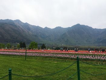 Group of people on field by mountains against sky