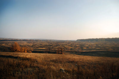 Scenic view of landscape against clear sky