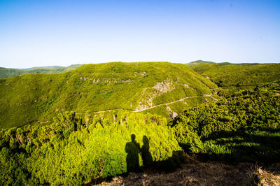Scenic view of green landscape against clear blue sky