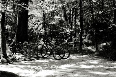 Bicycle parked on bicycle
