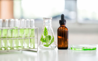Close-up of plants with laboratory glassware on table