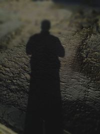 Rear view of silhouette man standing on floor