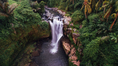 River flowing through forest