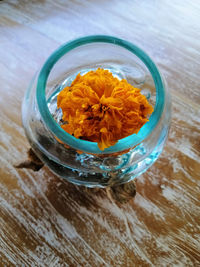 High angle view of orange flower in glass on table