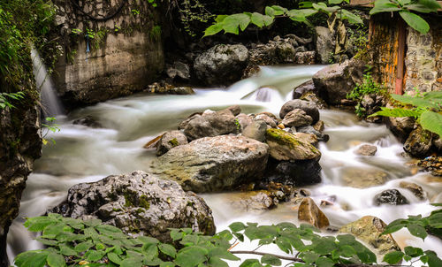 Scenic view of waterfall in forest