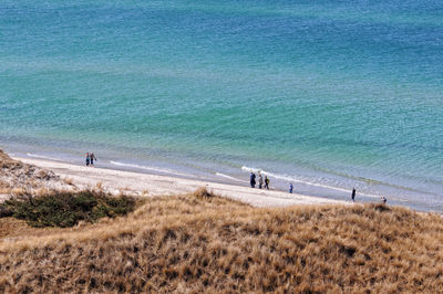 High angle view of people on shore at beach