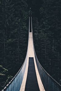 Bridge over trees