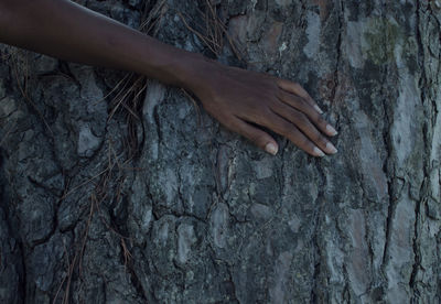 Close-up of hand on tree trunk