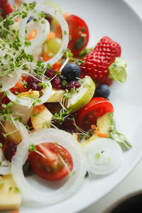 Close-up of salad served in plate