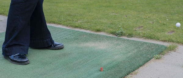 Low section of man standing on grass