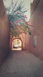 View of road along plants