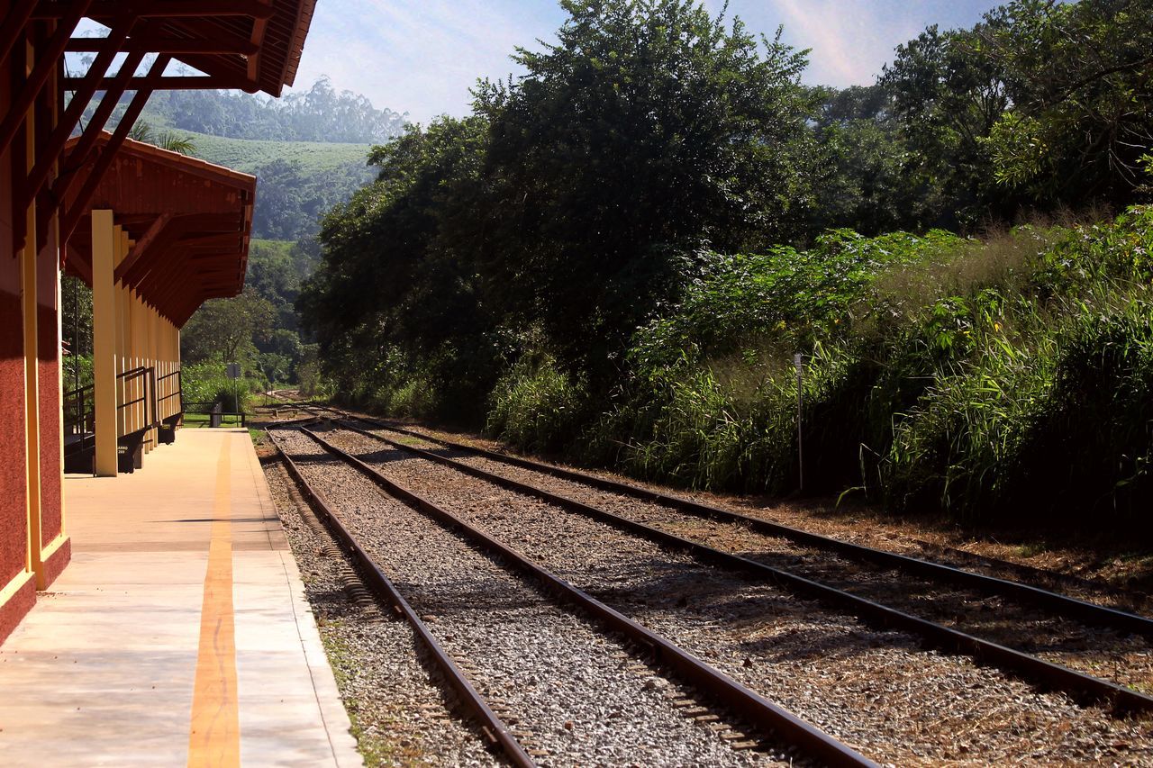 VIEW OF RAILROAD TRACKS ALONG PLANTS