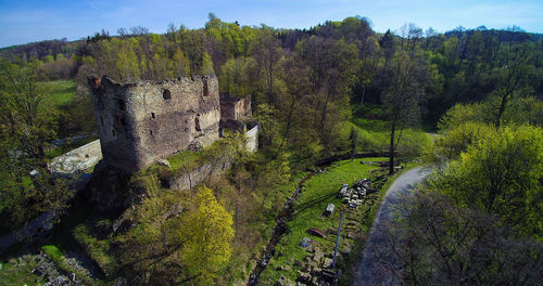 Plants growing in old building, ruin of the castle. 